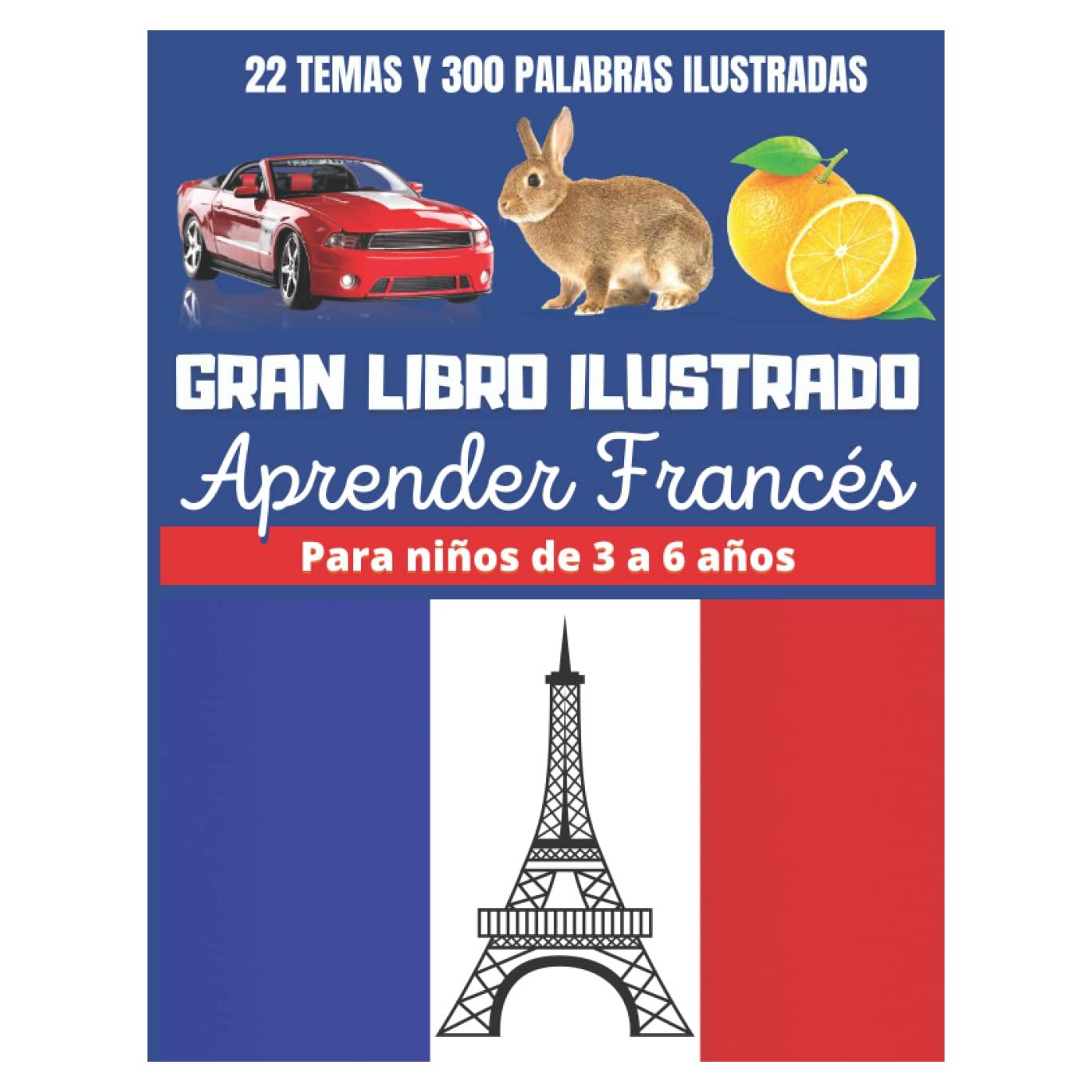 Gran Libro Ilustrado Aprender Francés Para Niños de 3 a 6 años: Diccionario educativo con imágenes, bilingüe Francés Español para primaria, con 22 ... y 300 palabras ilustradas (Spanish Edition)