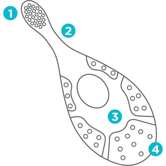 Fisher Price Kit de Inicio Cepillo de Dedo y Estuche 4 Piezas