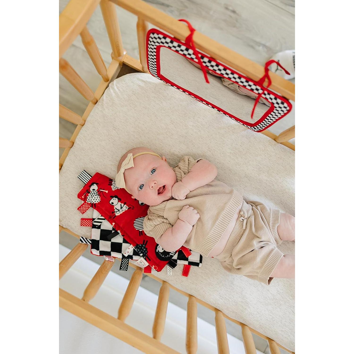 Espejo Reversible para Cuna Genius Baby Toys - 36.83x25.4 cm