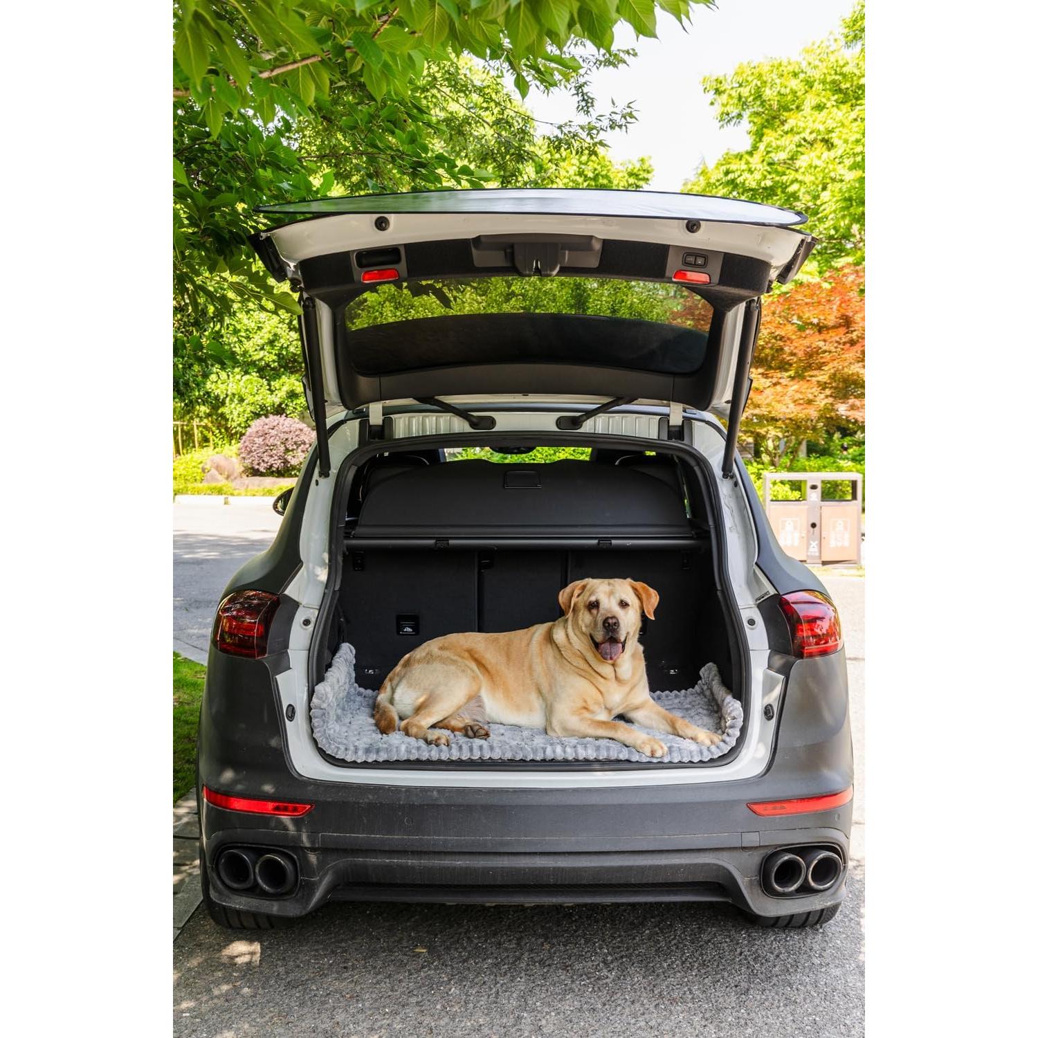 Alfombra para perro Mitid 63x137 cm antideslizante gris claro