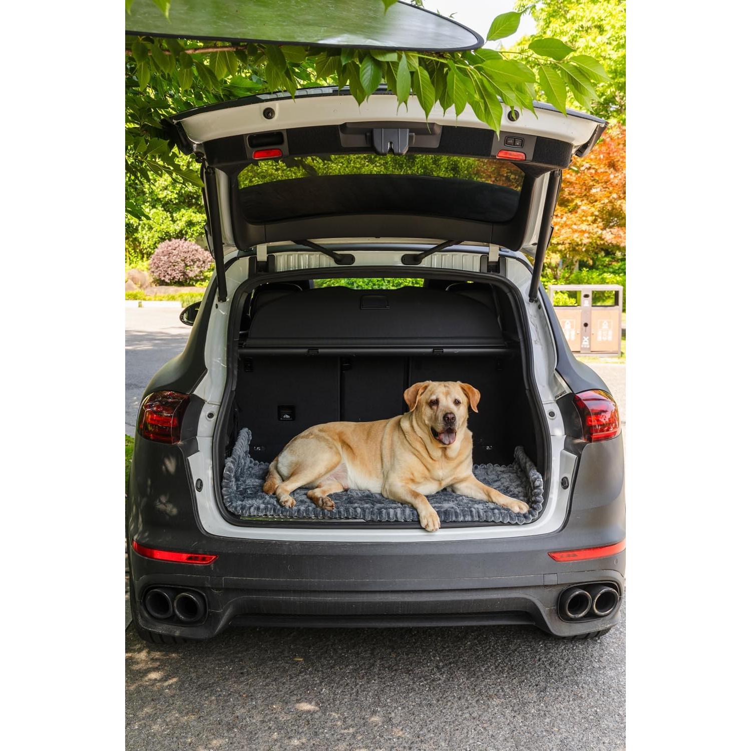 Alfombra Antideslizante para Perros TGODGPY 63x137 cm Gris