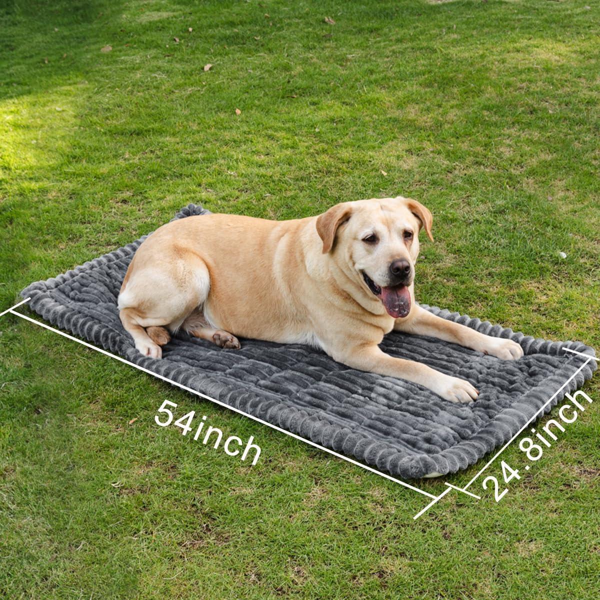 Alfombra Antideslizante para Perros TGODGPY 63x137 cm Gris