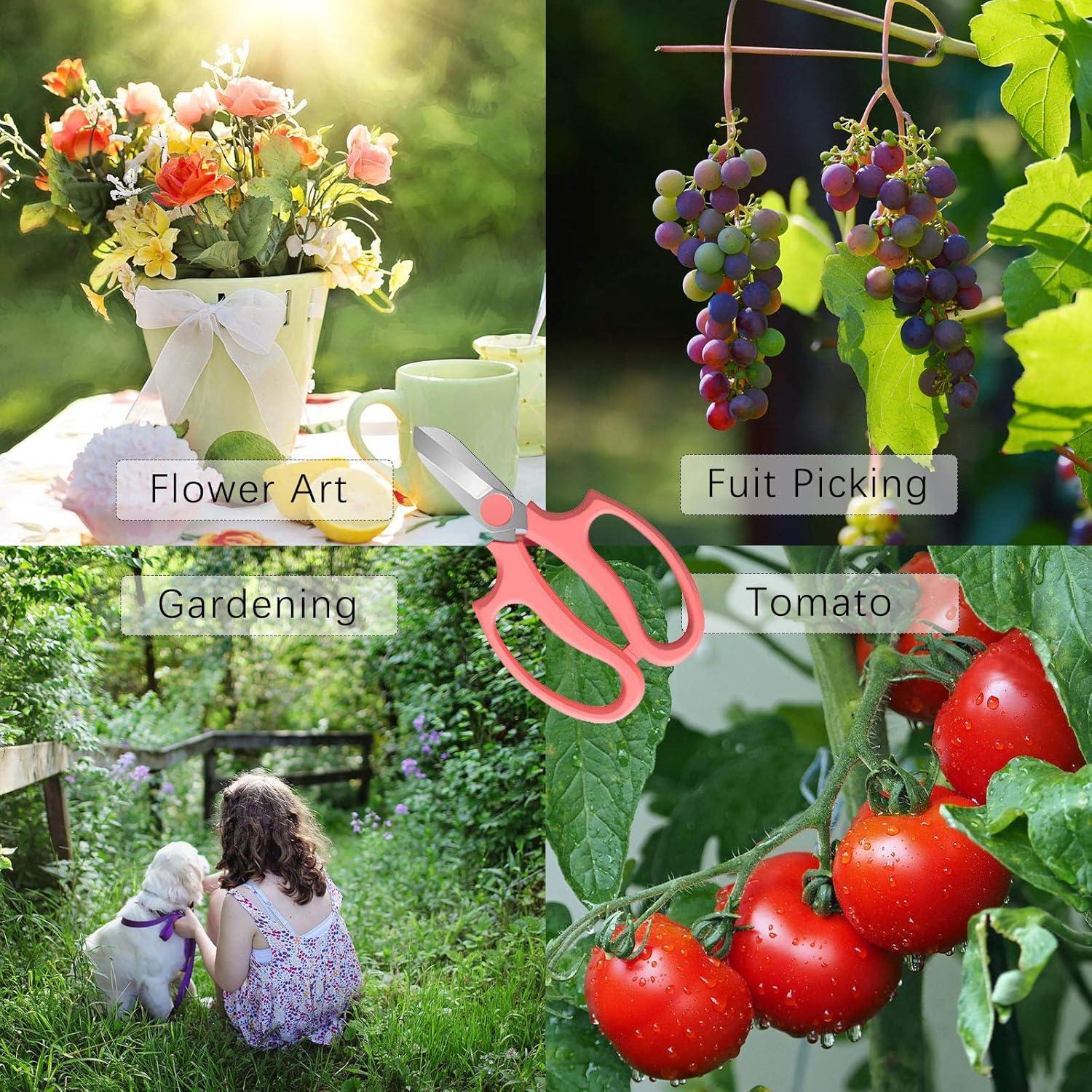 Tijeras de Flores Leize de Acero Inoxidable 8cm Verde Grisáceo