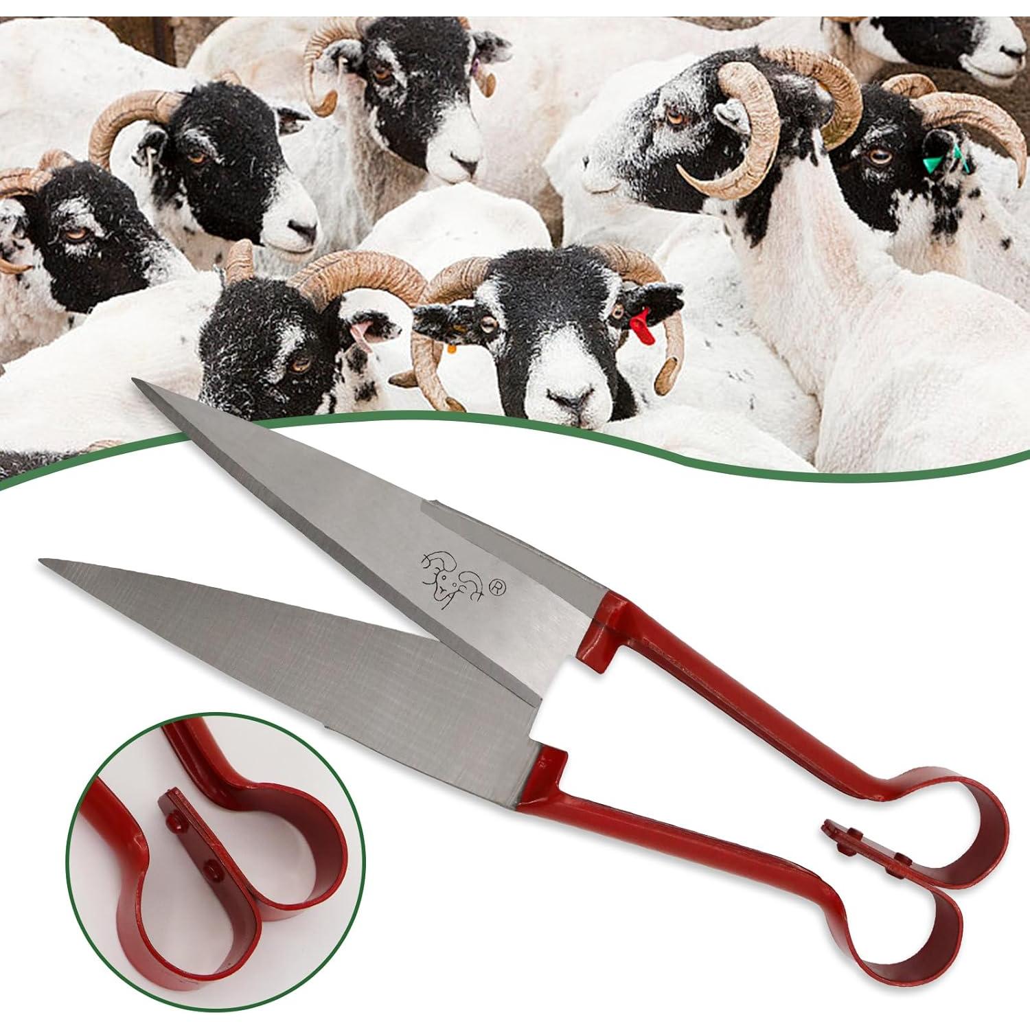 Tijeras Manuales USUNFARM para Esquilar Ovejas 15.5 cm