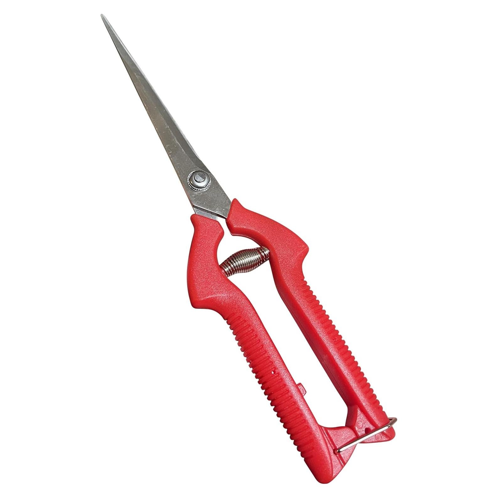 Tijeras de Podar Garden Guru Acero Inoxidable 20cm