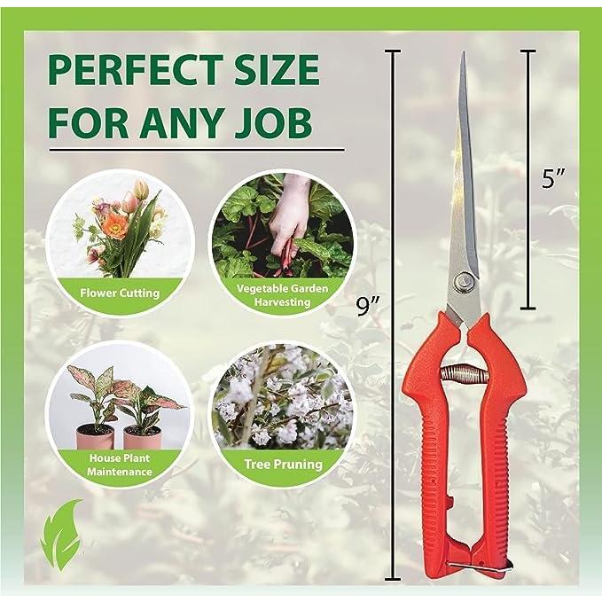 Tijeras de Podar Garden Guru Acero Inoxidable 20cm