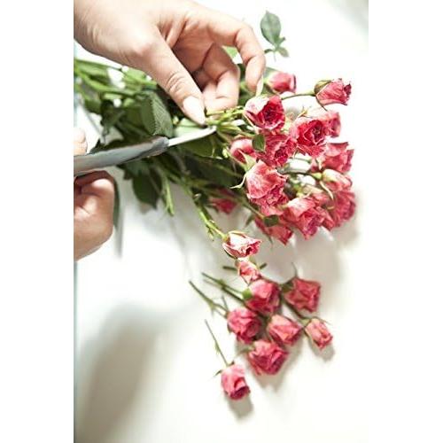 Juego de Tijeras de Poda Edward Tools - 2 Piezas Acero al Carbono