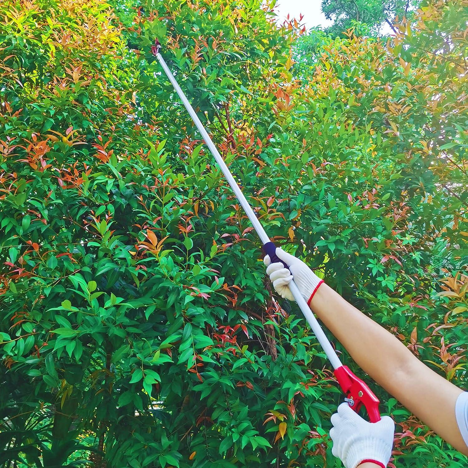 Podadora de Árbol Prunrt 4 Pies Mango Aluminio Tijeras Bypass