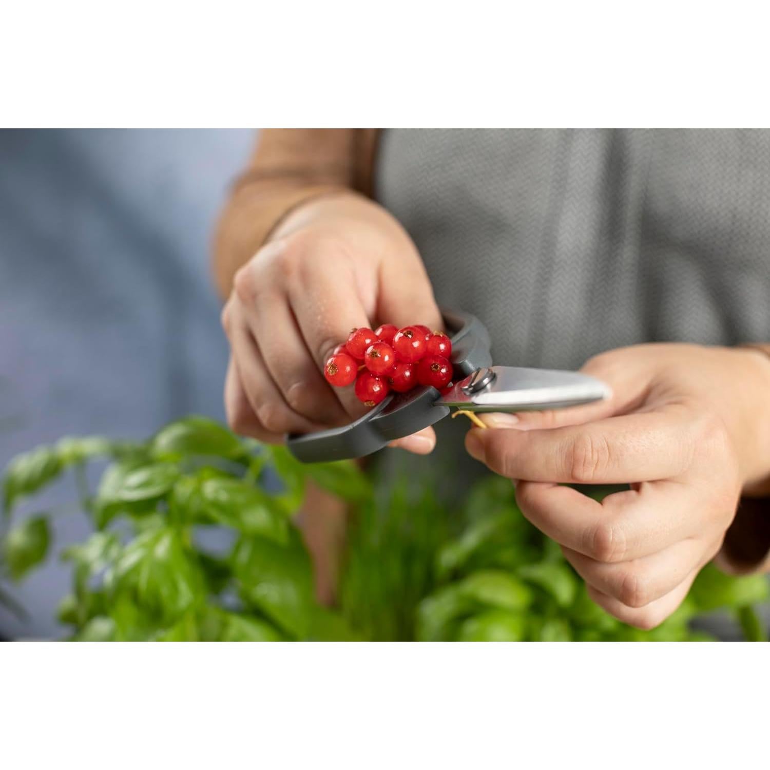 Tijeras de Cocina Kuhn Rikon Acero Inoxidable 18cm