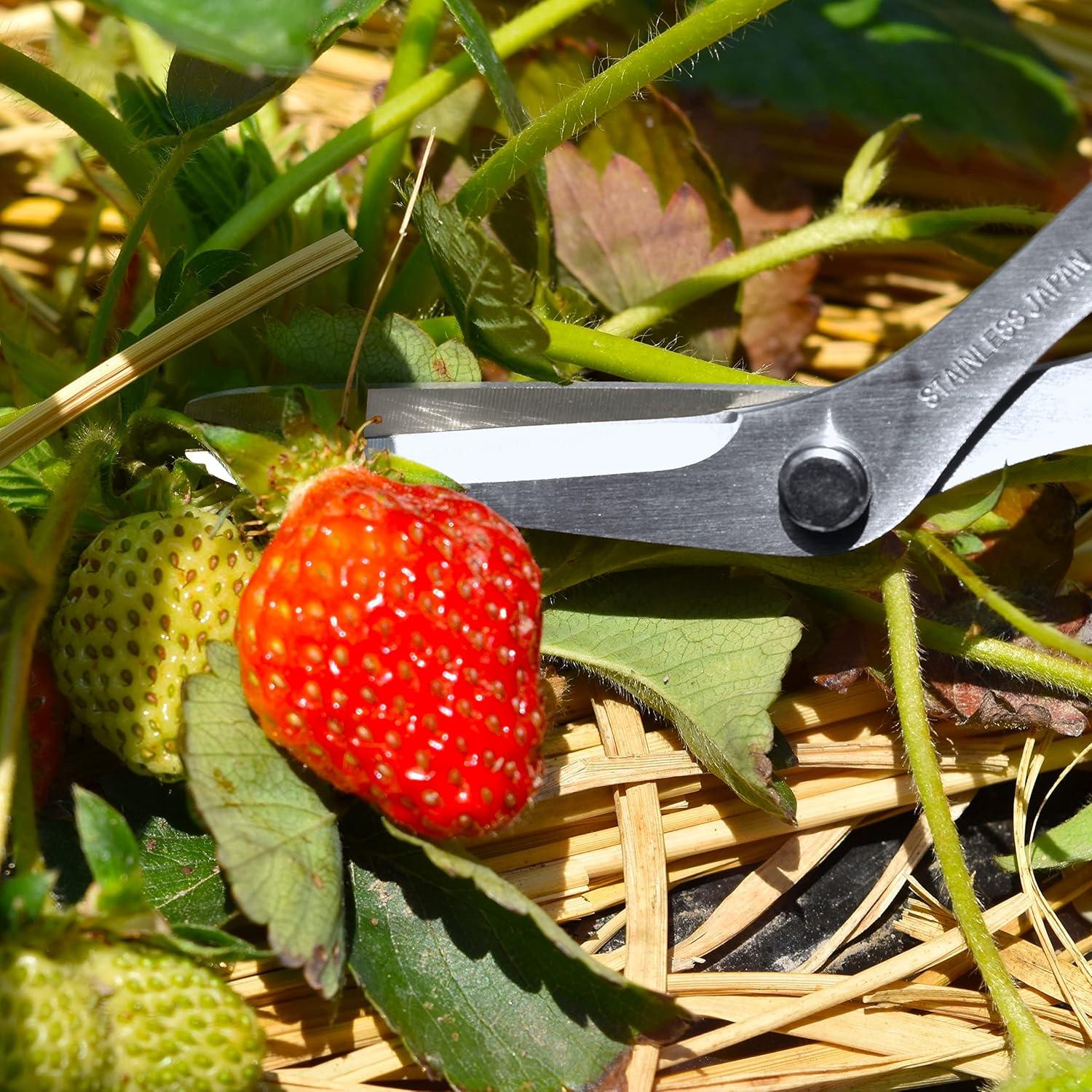 Tijeras de Jardín Curvadas Canary 16.5 cm Acero Inoxidable