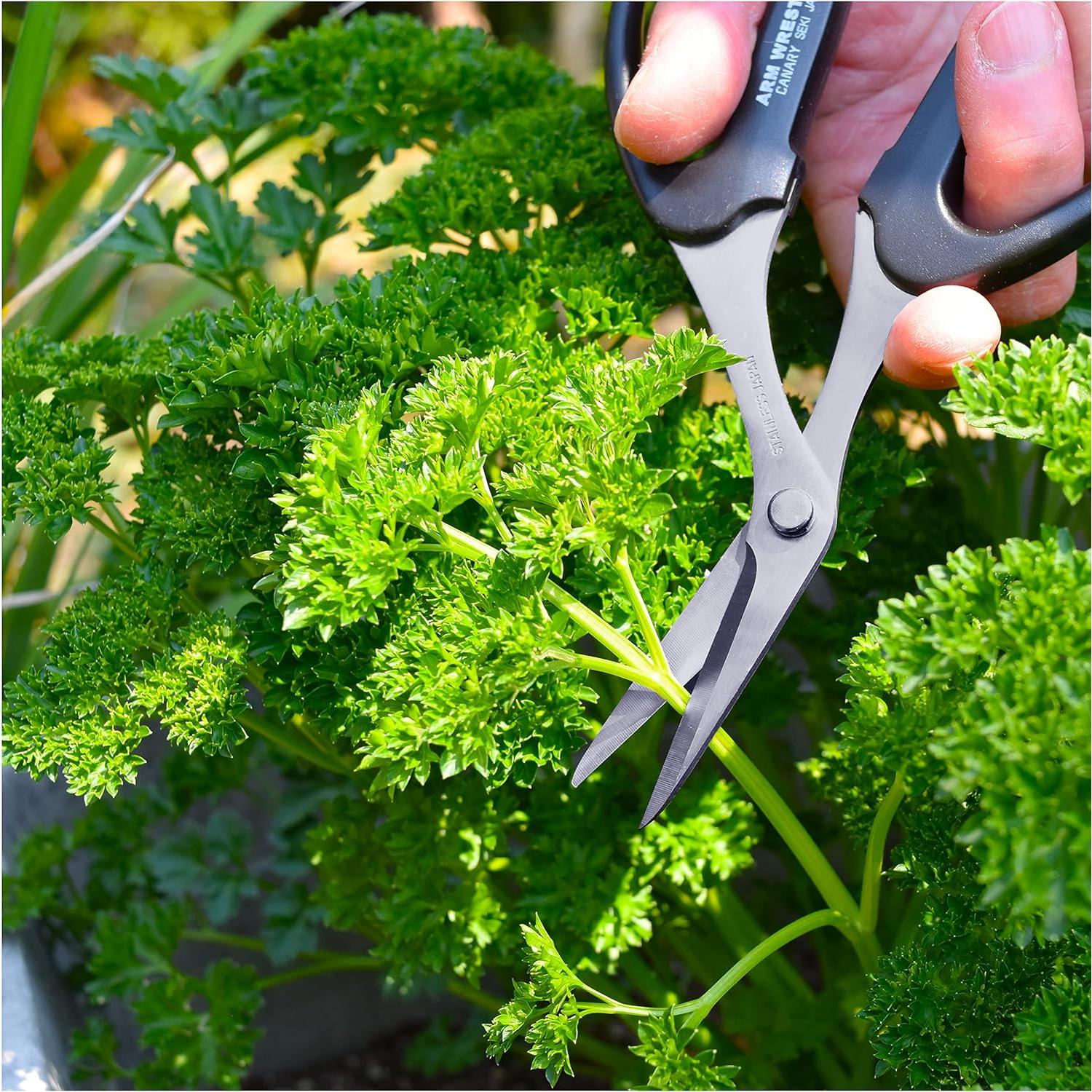 Tijeras de Jardín Curvadas Canary 16.5 cm Acero Inoxidable