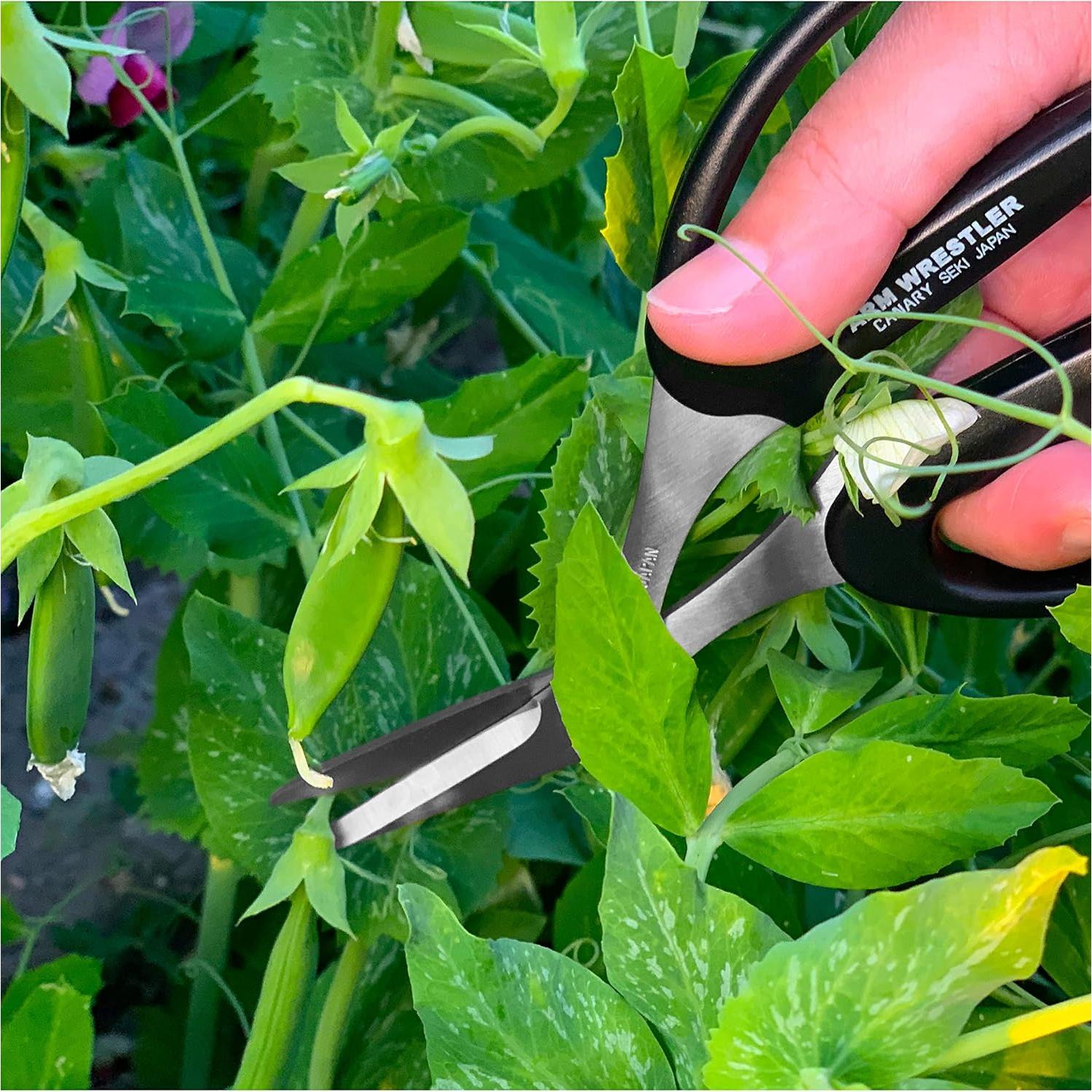 Tijeras de Jardín Curvadas Canary 16.5 cm Acero Inoxidable