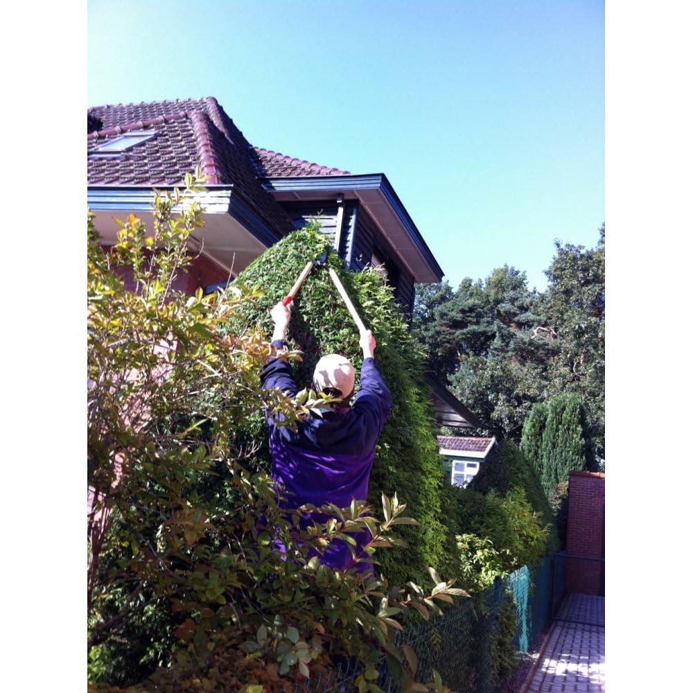 Tijeras de Poda Okatsune 60 Bypass Acero 1kg