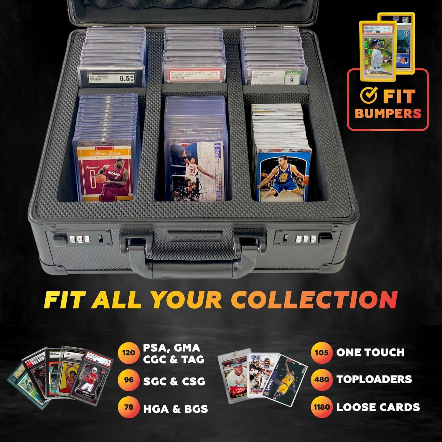 Caja de Almacenamiento de Tarjetas Graduadas Panopply 6 Compartimentos