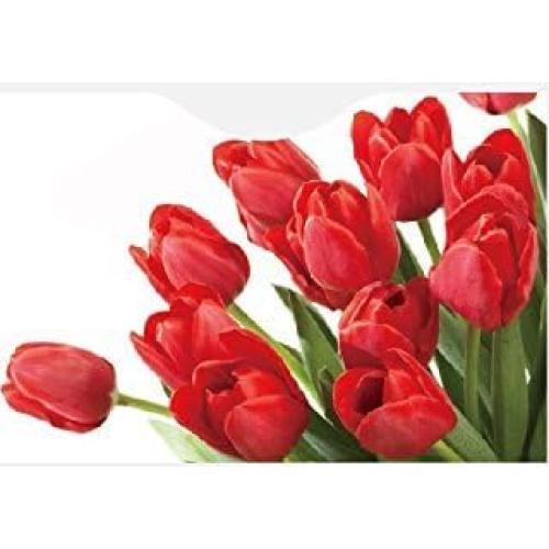 Set de 12 Fundas Bloqueadoras RFID Defensa - Diseño Flores