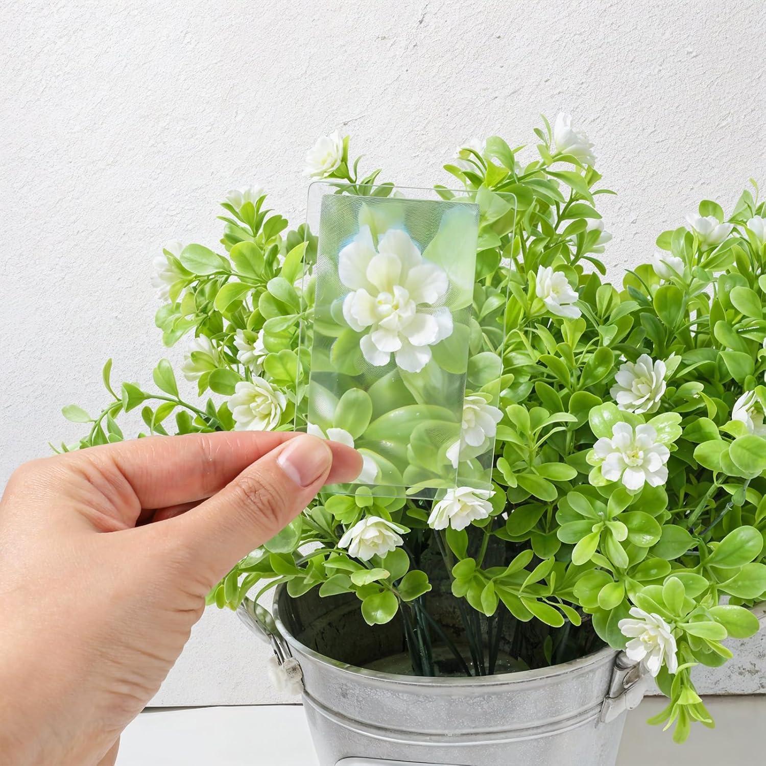 Lente Fresnel Aiyorse 100 Piezas 3x Aumento 8.5x5.5cm