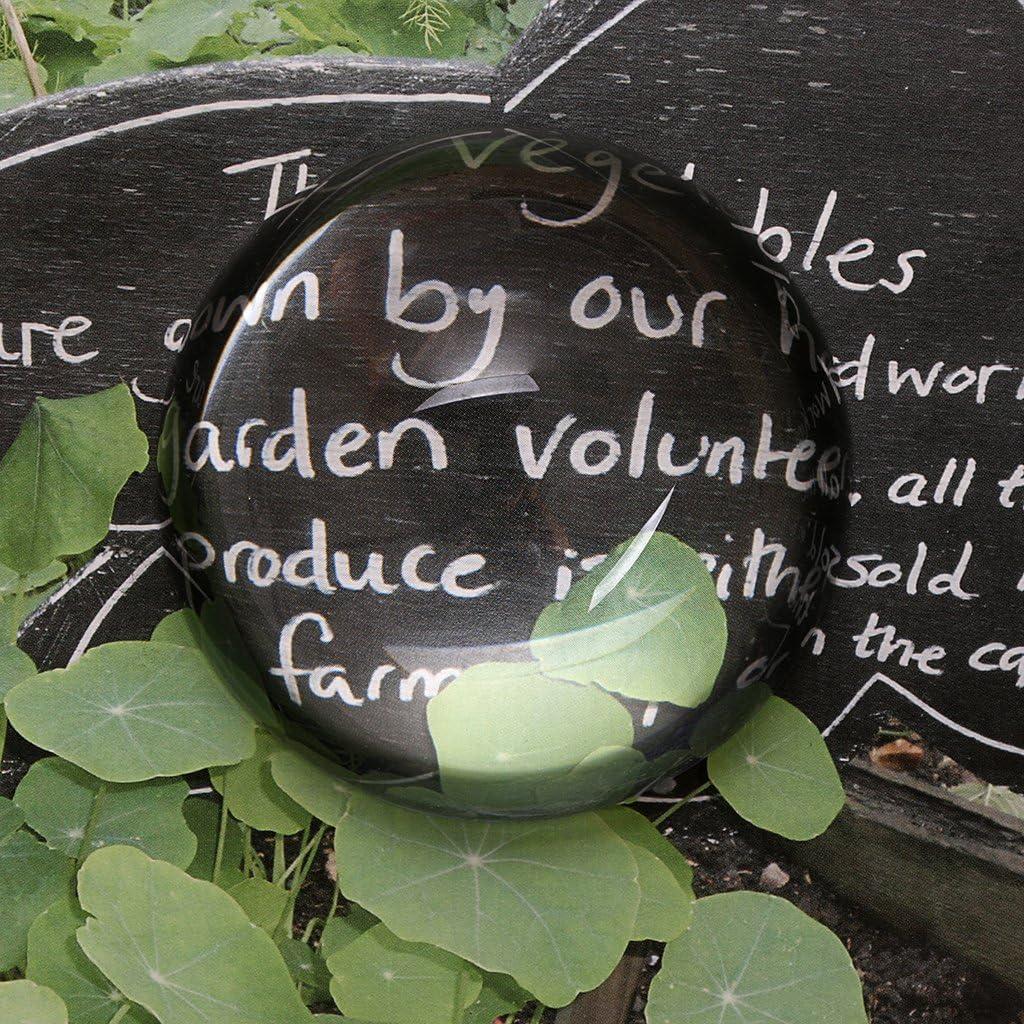 Lupa de Cristal OwnMy 100mm 1.8x para Lectura y Decoración