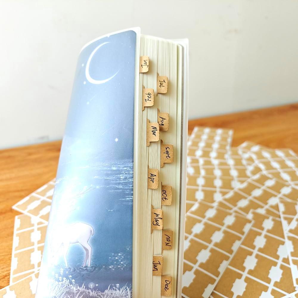 420 Pcs Etiquetas Adhesivas Qaxrocyn para Marcadores de Página