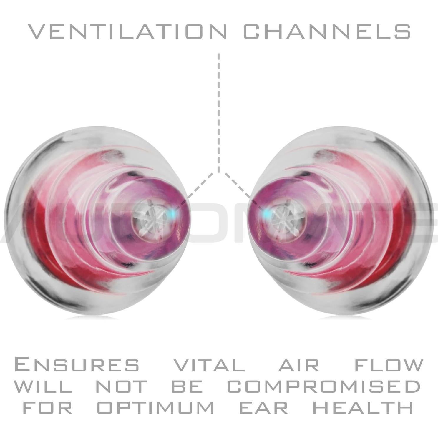 Tapones para Oídos Audiomate HiFi con Estuche Metal 27dB