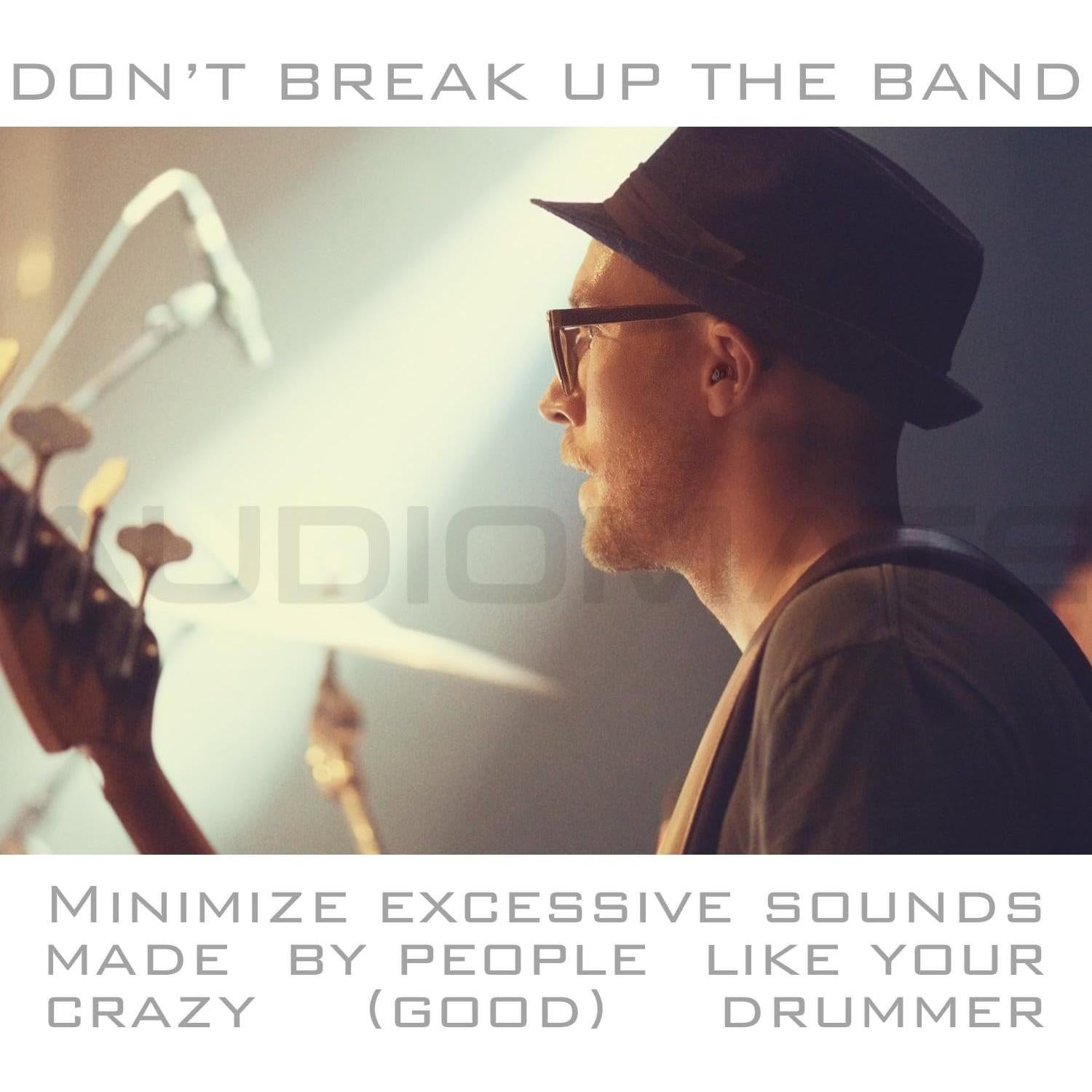 Tapones para Oídos Audiomate HiFi con Estuche Metal 27dB