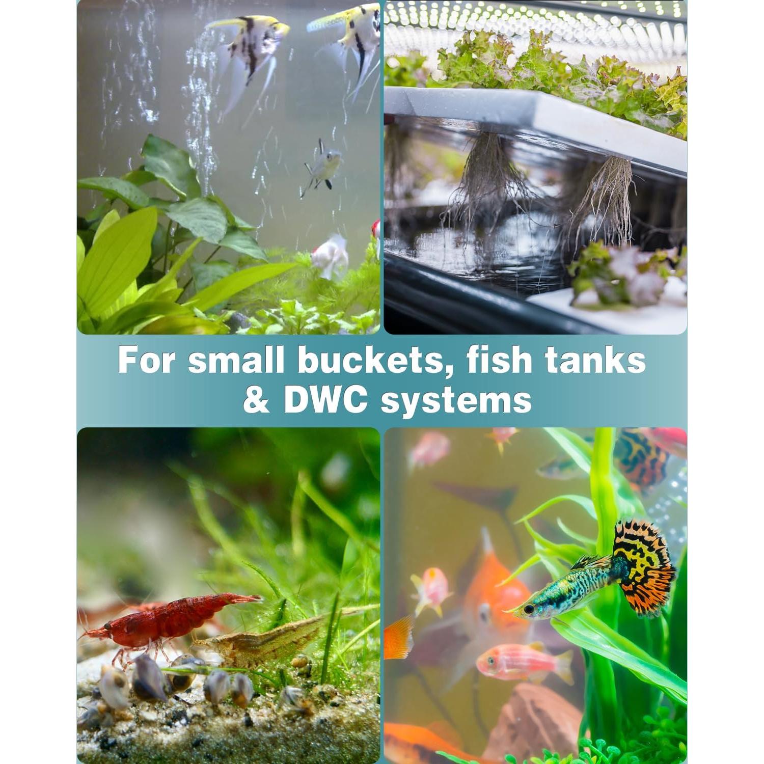 Difusor de Burbuja Pawfly 1.5 cm para Acuarios - Paquete de 12