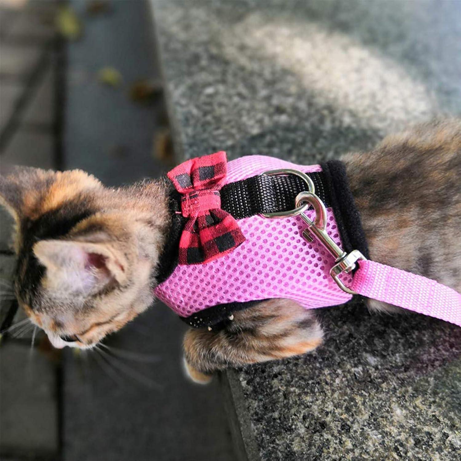 Arnés y Correa Rypet para Cobayas y Hurones - 2 Piezas