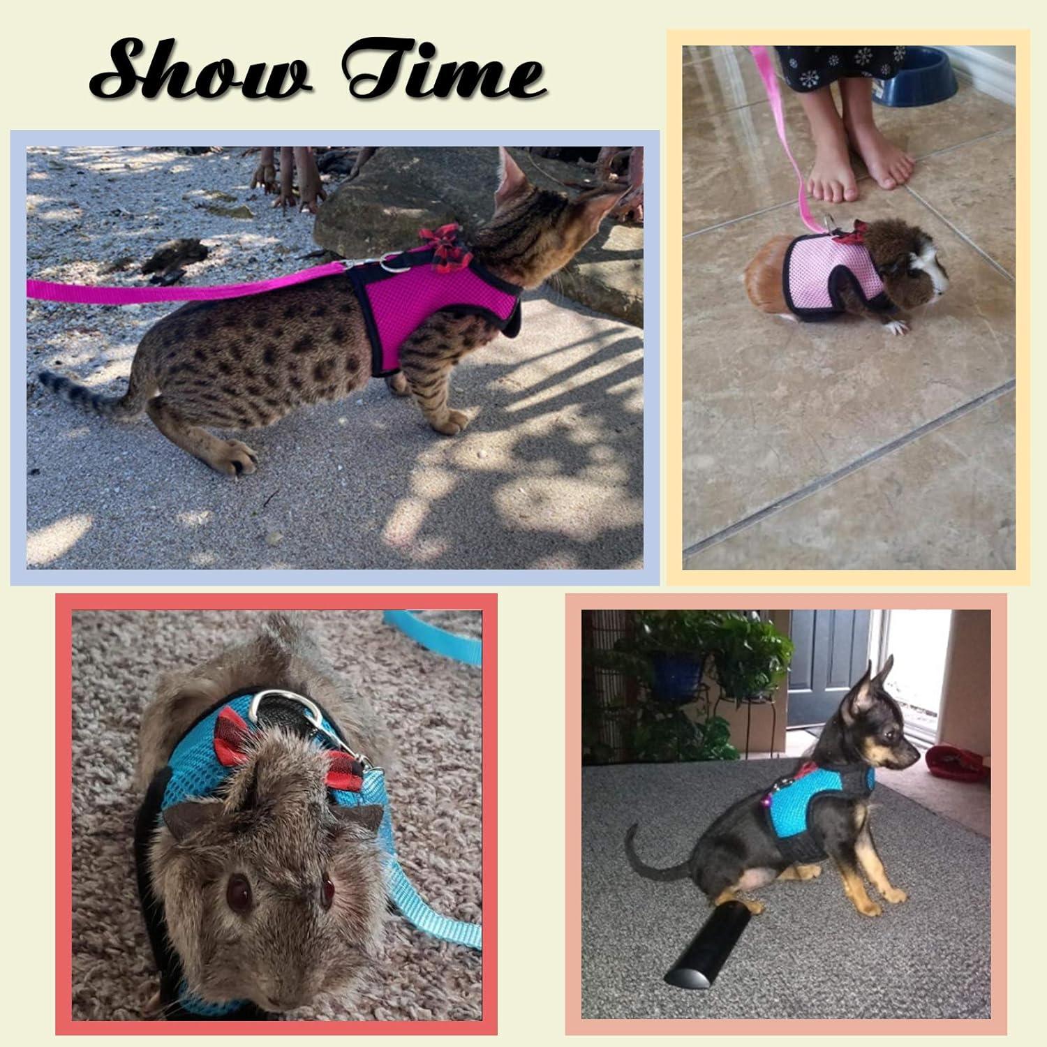 Arnés y Correa Rypet para Cobayas y Hurones - 2 Piezas