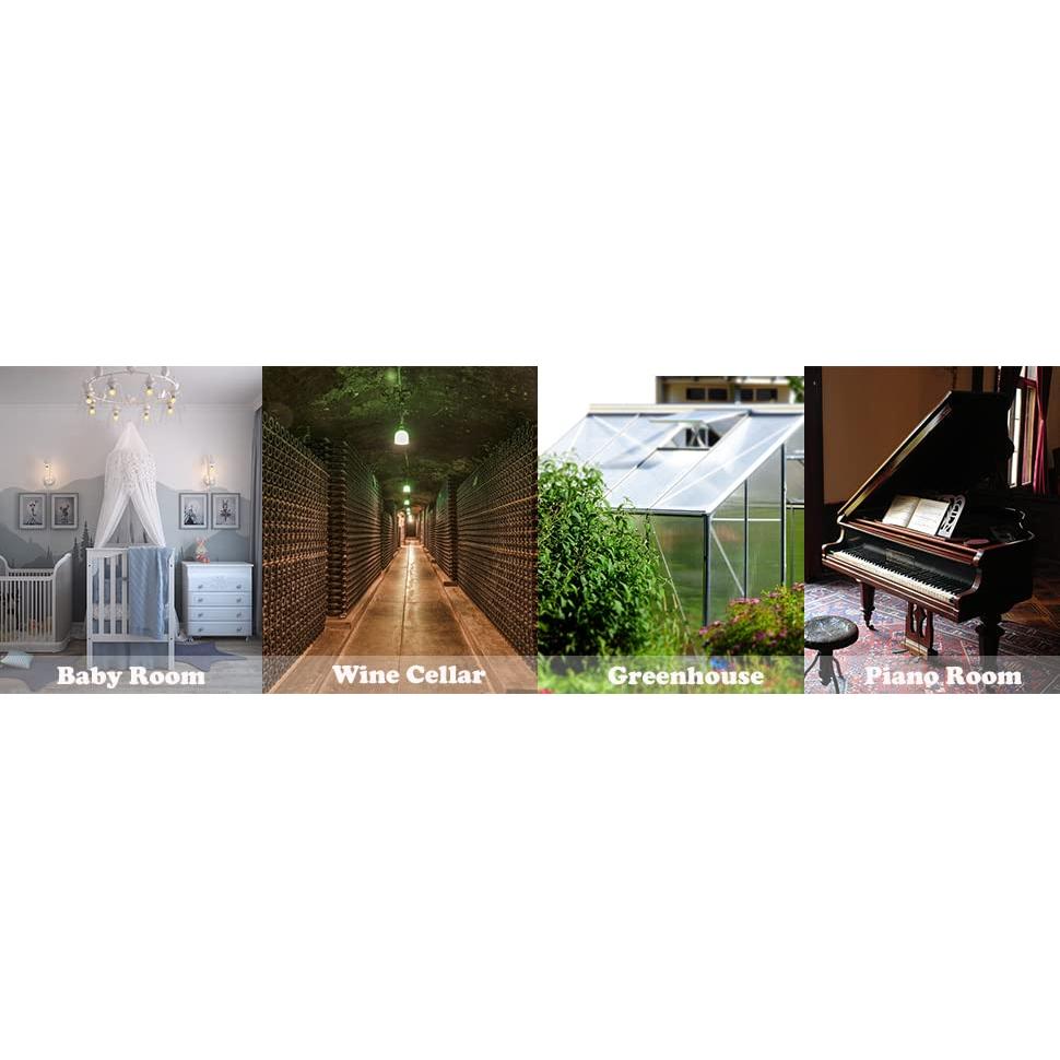 Termómetro Higrómetro Digital Mini Rojuna Paquete de 5