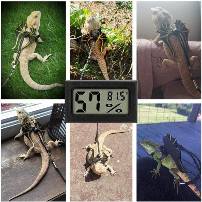 Termómetro Digital Mini Wale&Morn - Higrómetro y Medidor de Humedad