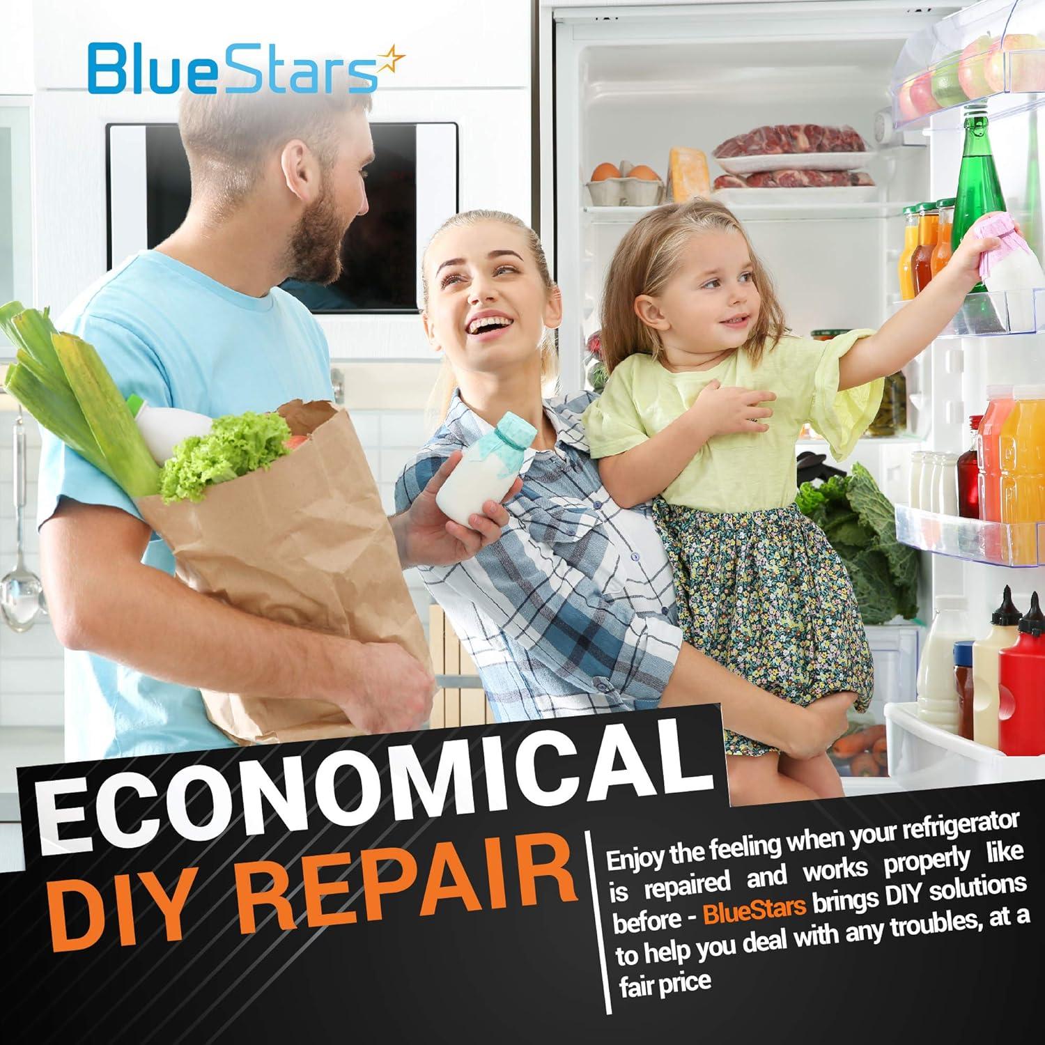 Rejilla dispensador refrigerador BlueStars 2206670B - Compatible Whirlpool