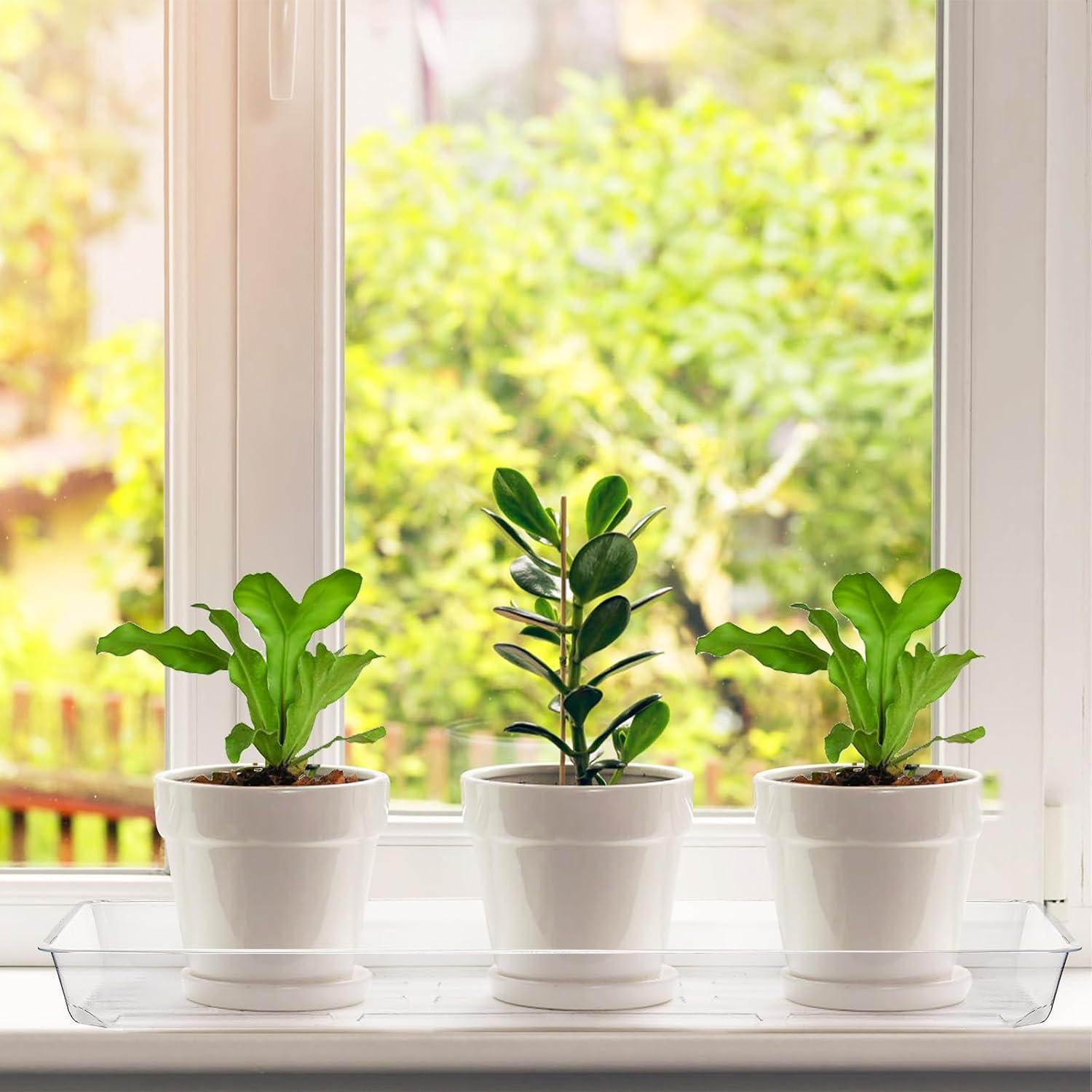 Kingrol 16 Bandejas Rectangulares Transparentes para Plantas