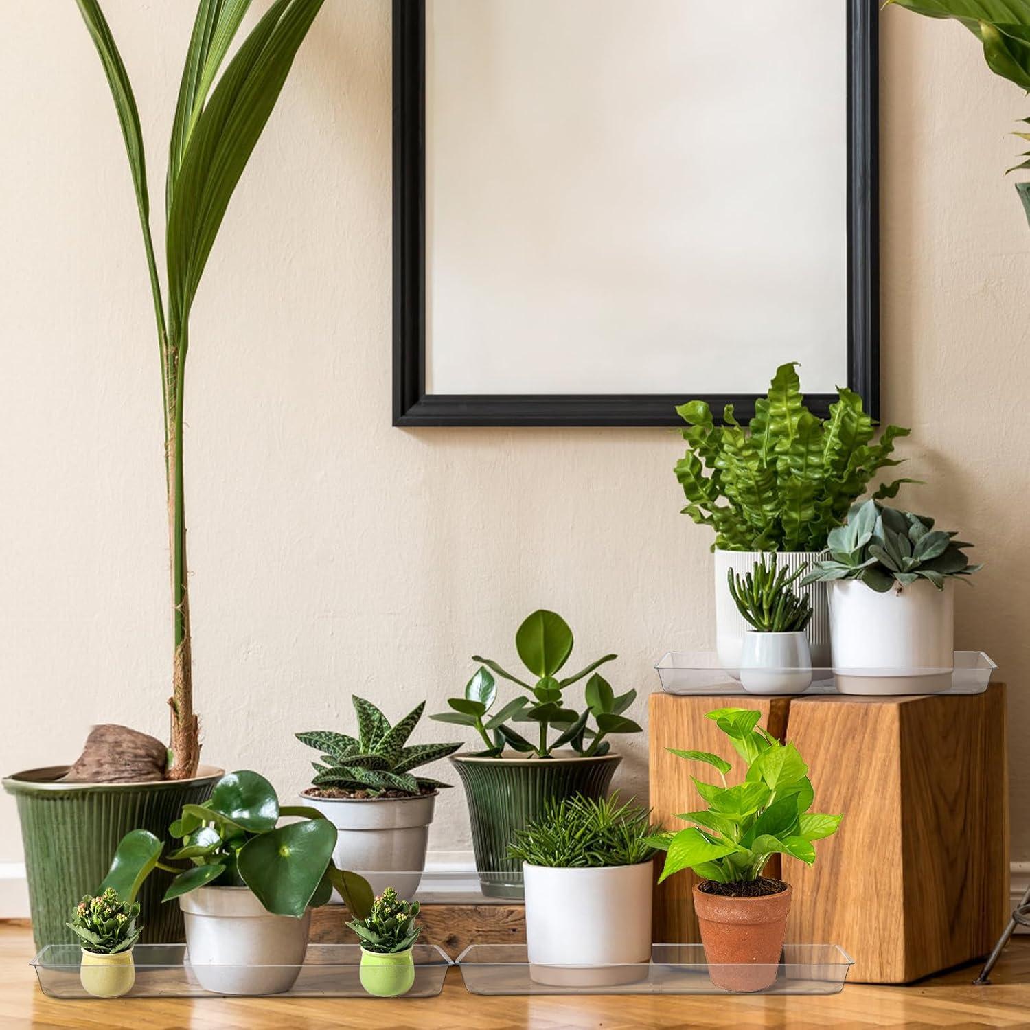 Kingrol 16 Bandejas Rectangulares Transparentes para Plantas