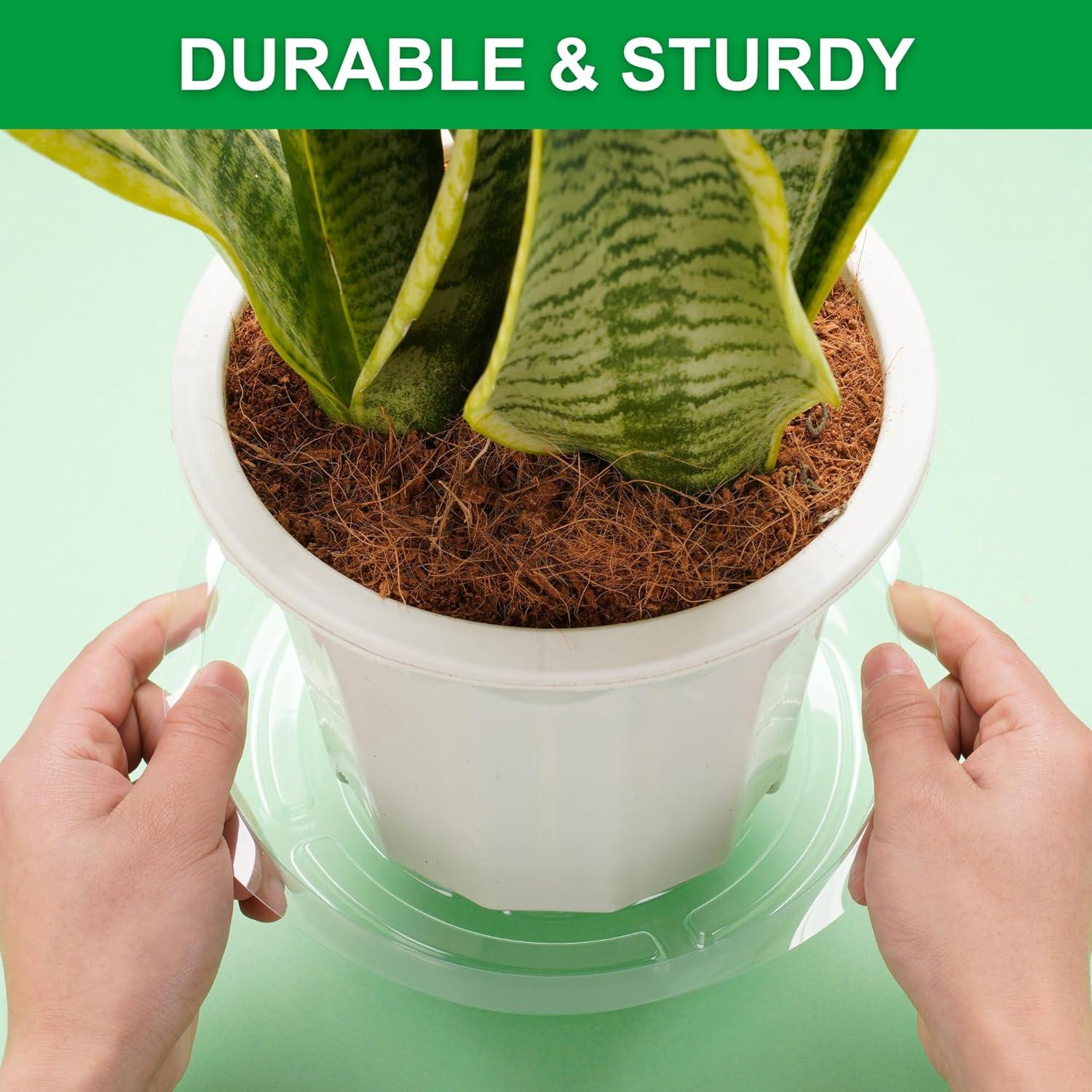 Platillos Transparentes para Plantas CATIFLIN - Paquete de 24