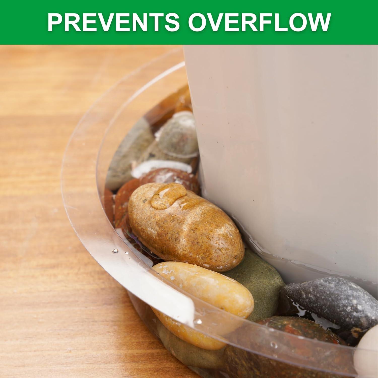 Platillos Transparentes para Plantas CATIFLIN - Paquete de 24