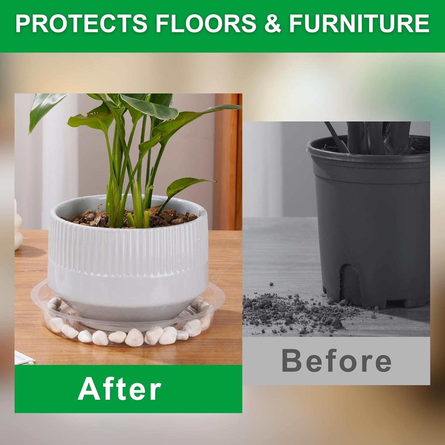 Platillos Transparentes para Plantas CATIFLIN - Paquete de 24