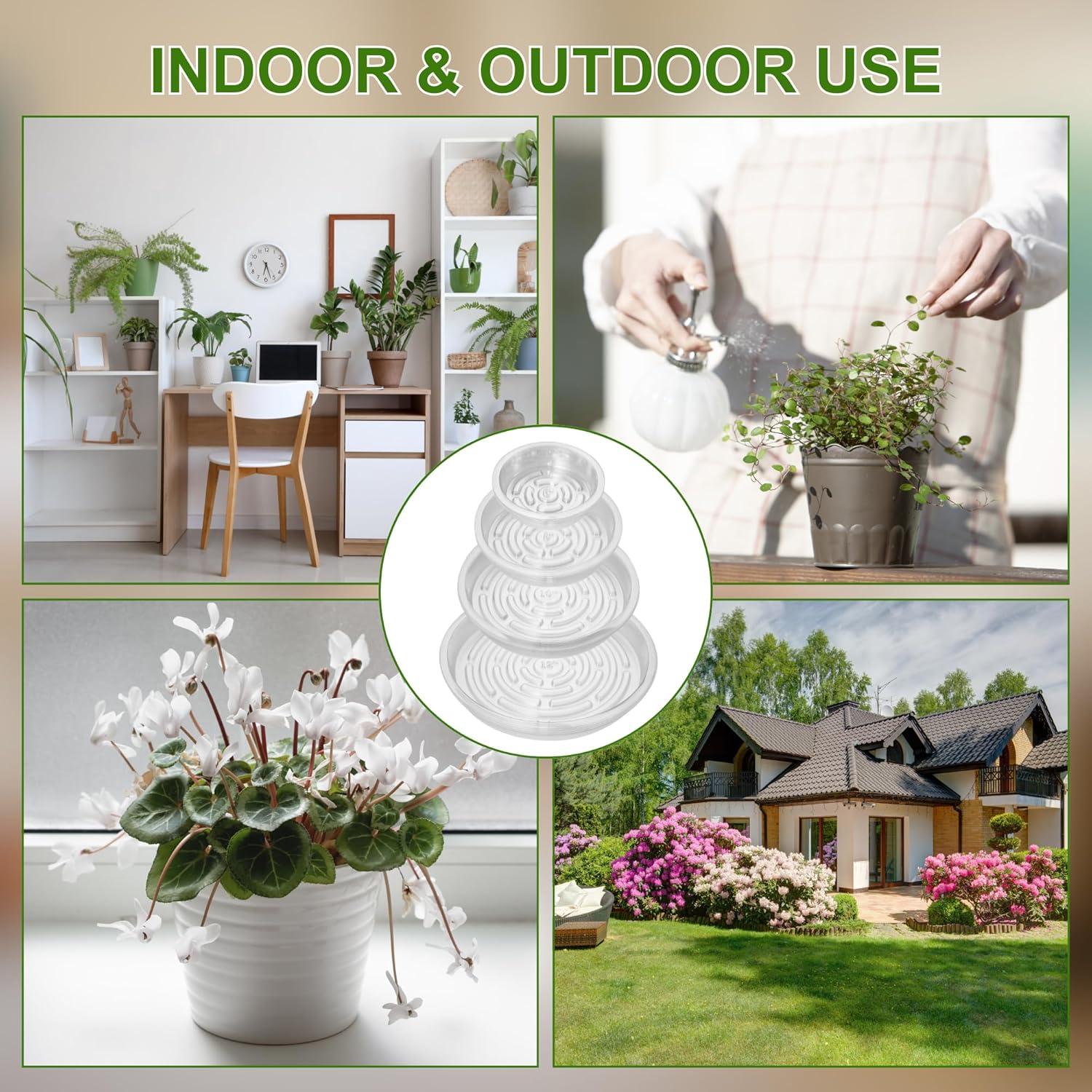 Platillos Transparentes para Plantas CATIFLIN - Paquete de 24