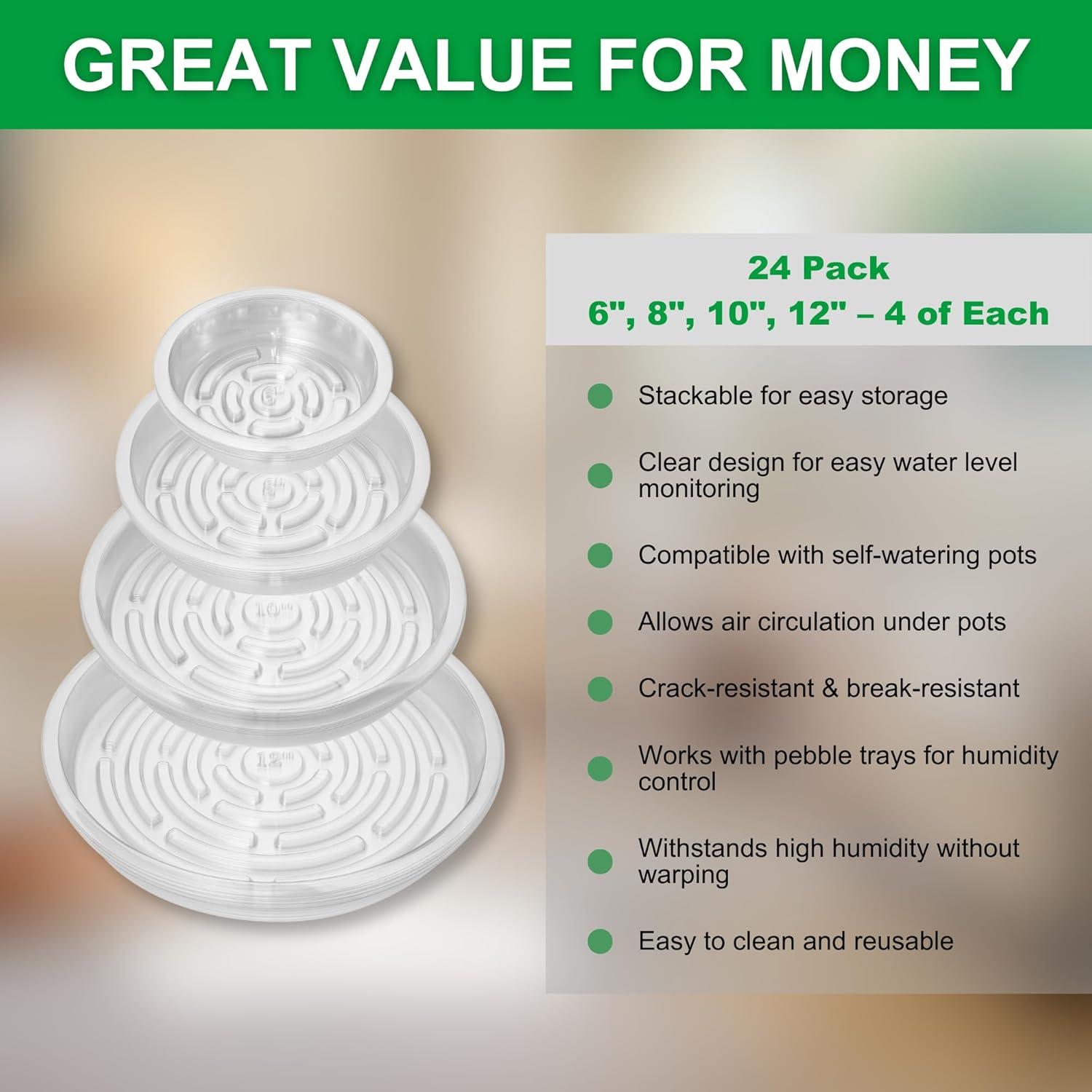 Platillos Transparentes para Plantas CATIFLIN - Paquete de 24