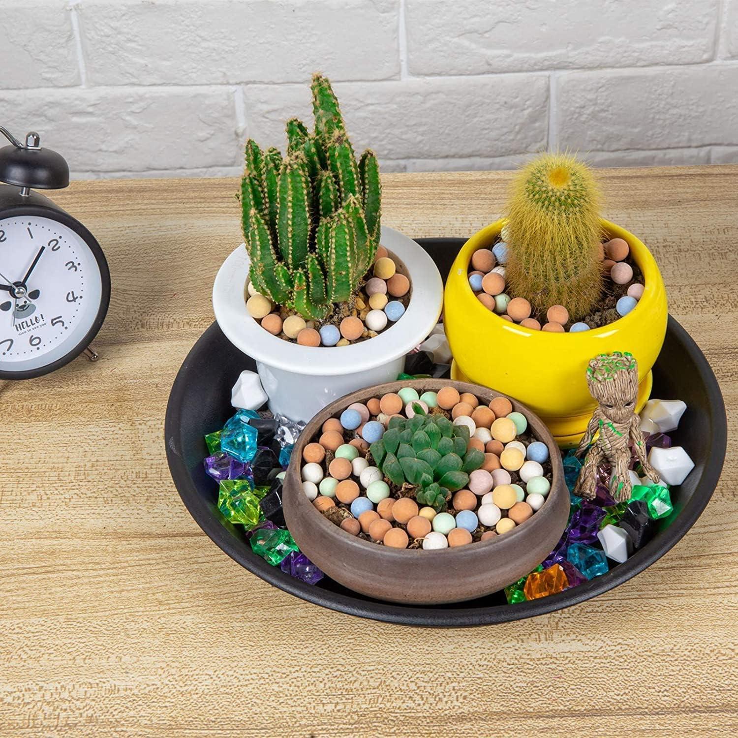 Juego de Bandejas de Goteo para Plantas NABAOXUN 6 Piezas