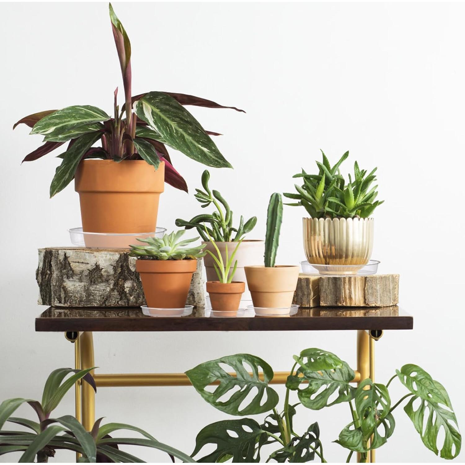 Hacaroa 24 Pack Platos de Goteo Transparentes 15-30 cm