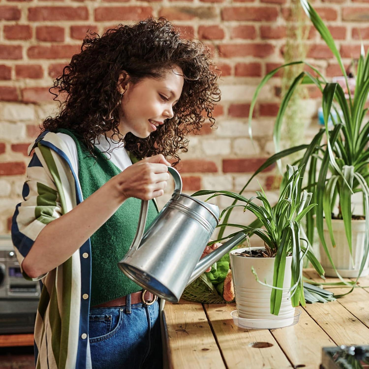 Hacaroa 24 Pack Platos de Goteo Transparentes 15-30 cm