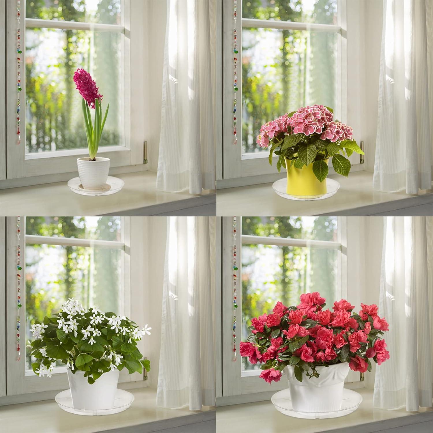 Hacaroa 24 Pack Platos de Goteo Transparentes 15-30 cm