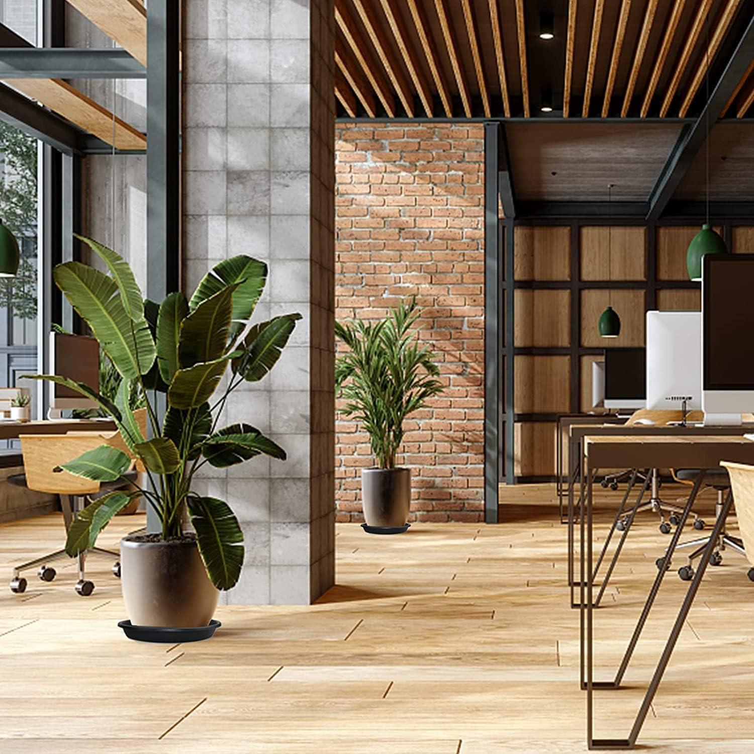 Plato de Planta Lechay 30.48cm Negro - Paquete de 3