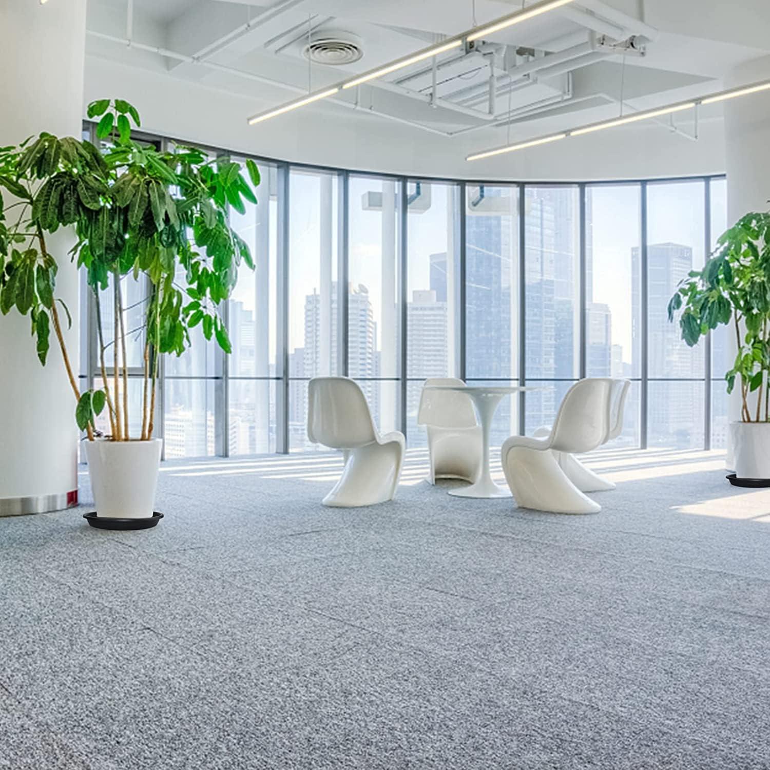 Plato de Planta Lechay 30.48cm Negro - Paquete de 3