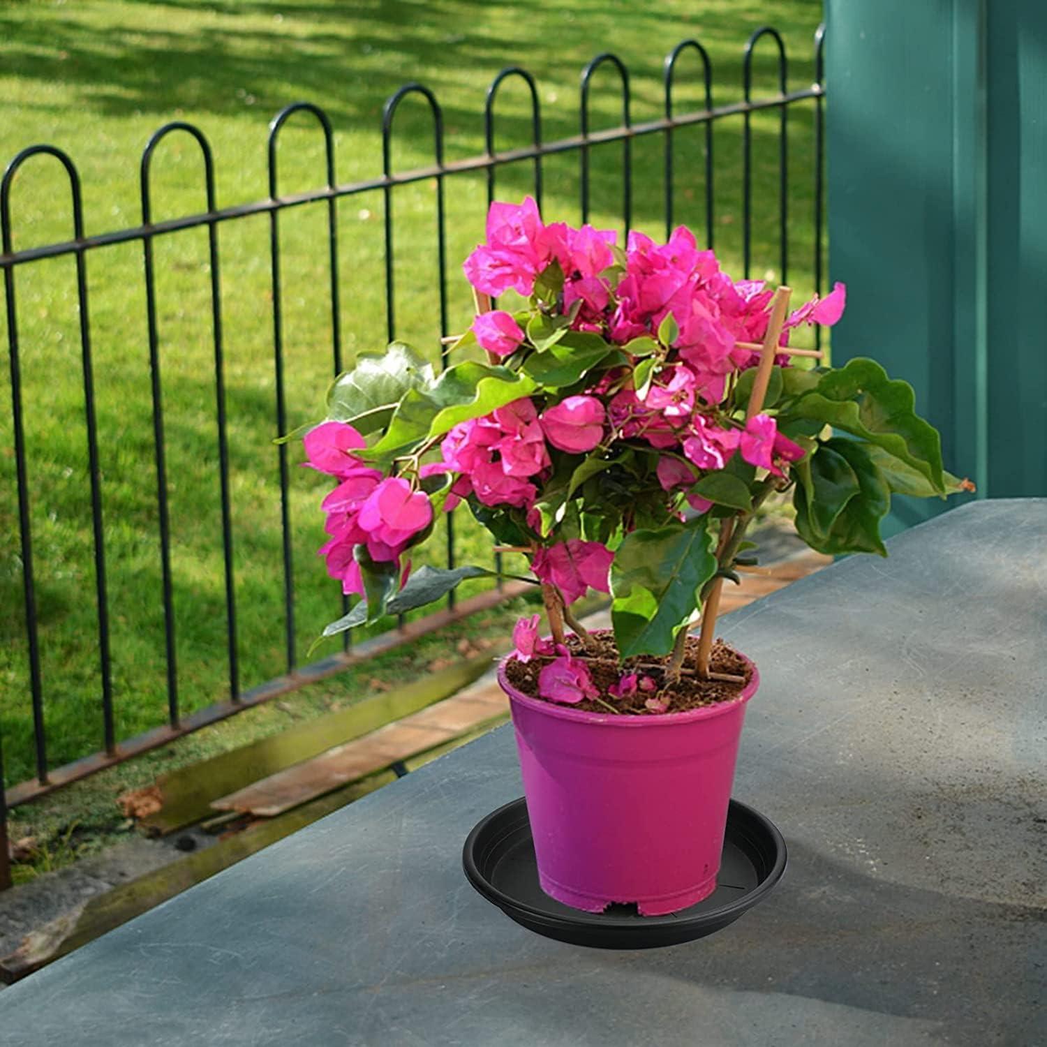 Plato de Planta Lechay 30.48cm Negro - Paquete de 3