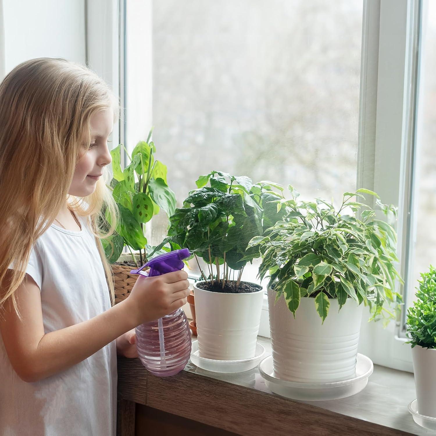 Plato para Plantas MUDEELA 30.48 cm Transparente 6 Piezas