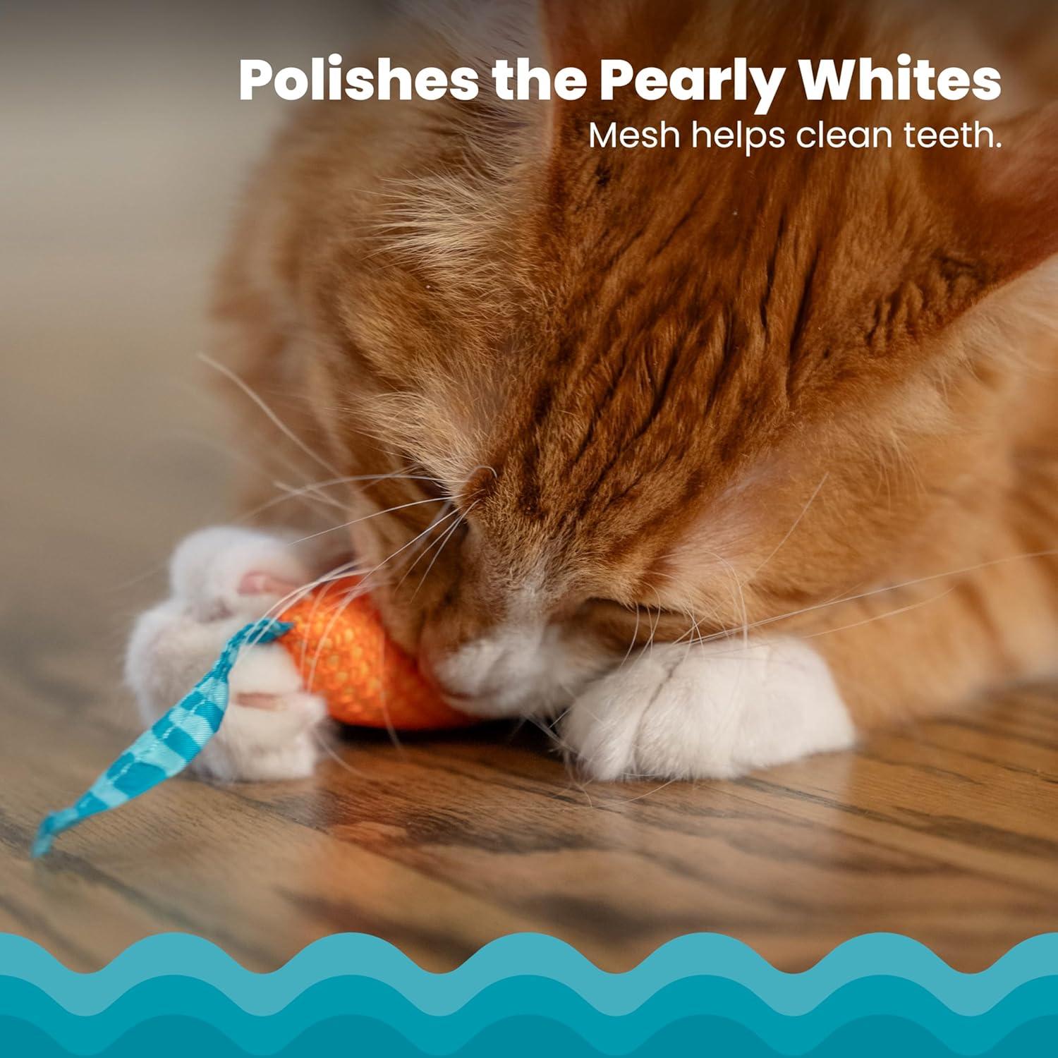 Juguete Dental para Gatos PetStages Ratones Masticables