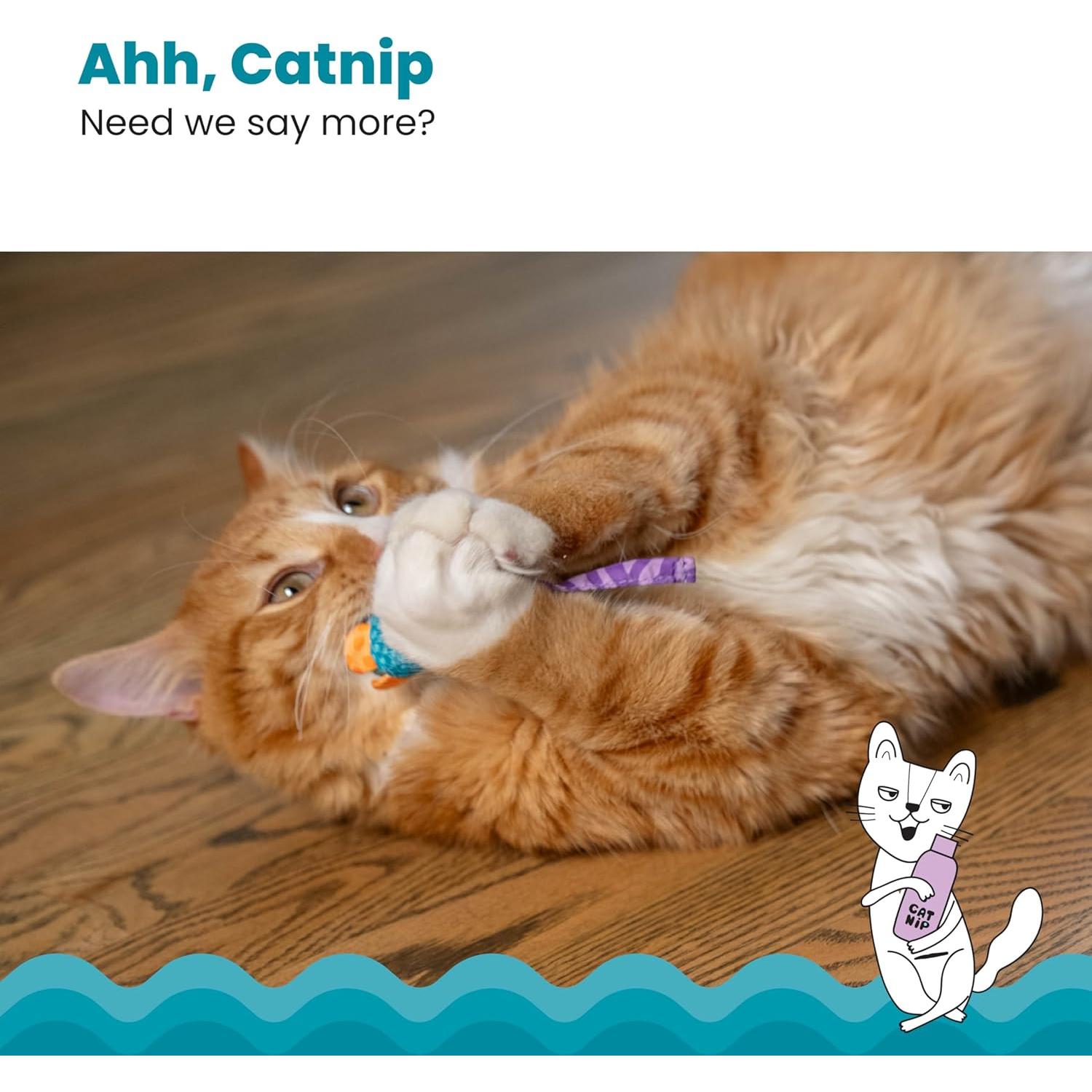 Juguete Dental para Gatos PetStages Ratones Masticables