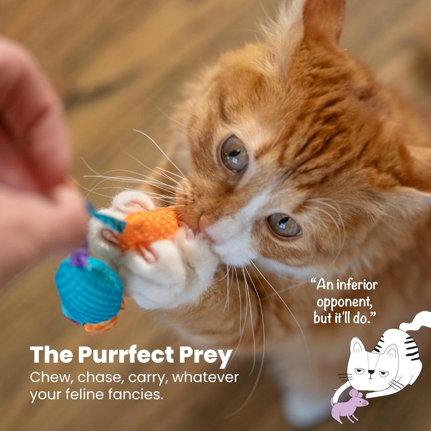 Juguete Dental para Gatos PetStages Ratones Masticables