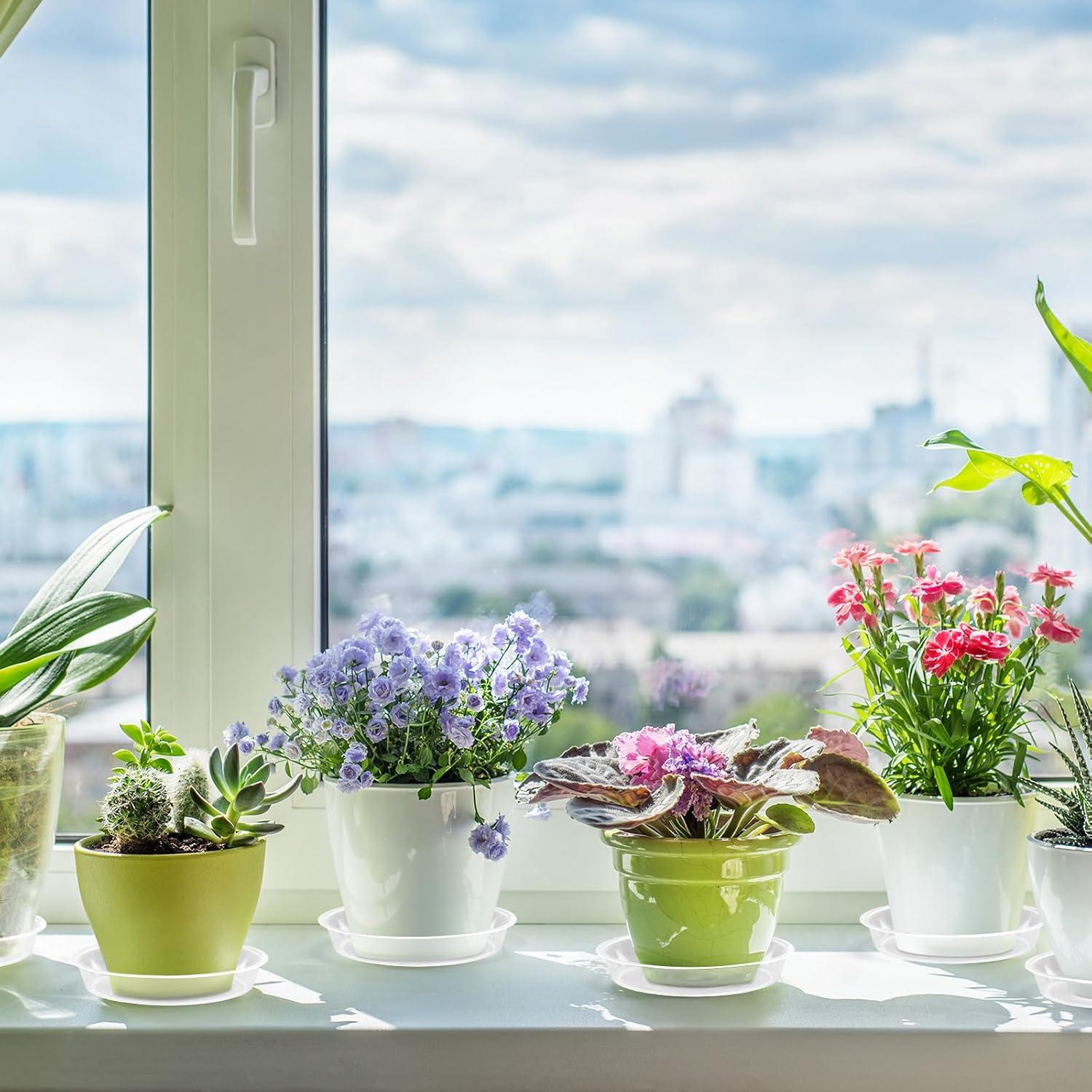 Paquete de 6 bandejas de goteo FUIJOL 25.4 cm transparentes