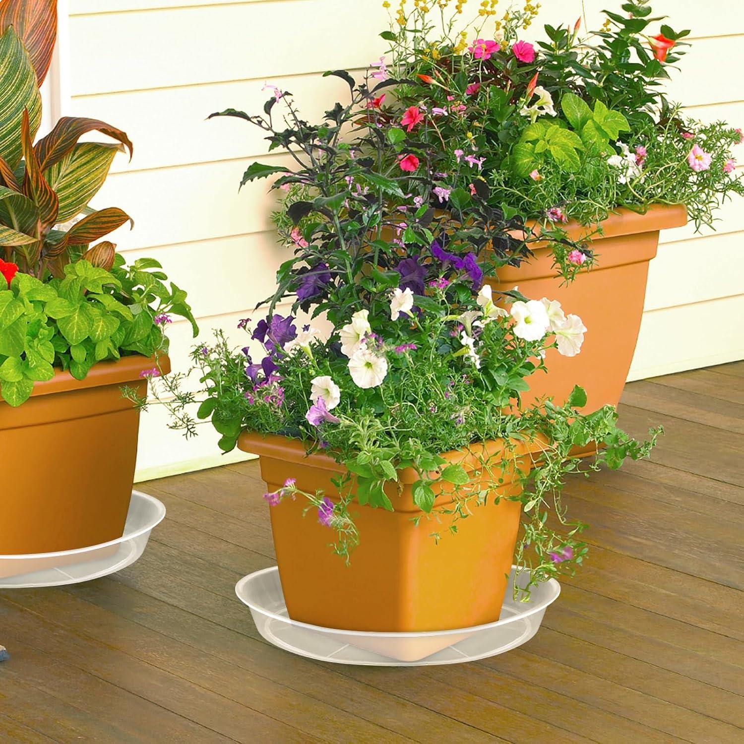 Paquete de 6 bandejas de goteo FUIJOL 25.4 cm transparentes